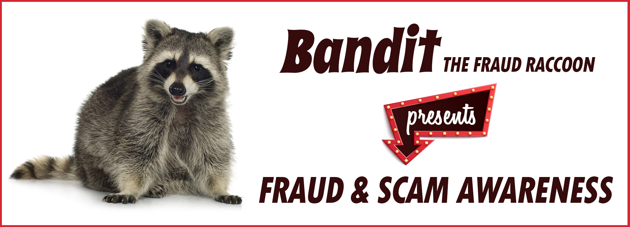 Bandit the Fraud Raccoon presents fraud and scam awareness